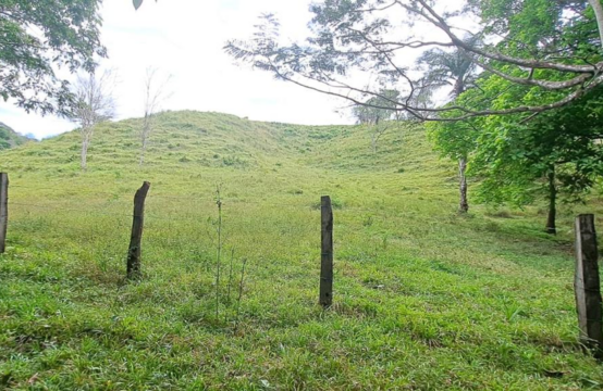 Finca en Venta en Guanacaste, Santa Cruz